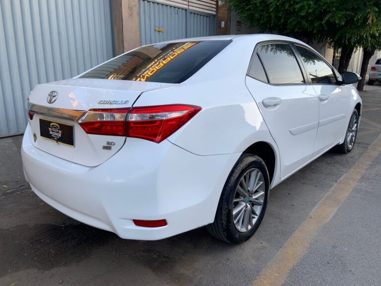 WhatsApp Image 2026-01-09 at 08.30.13