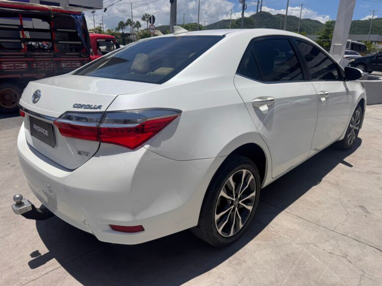 WhatsApp Image 2026-03-26 at 12.13.26